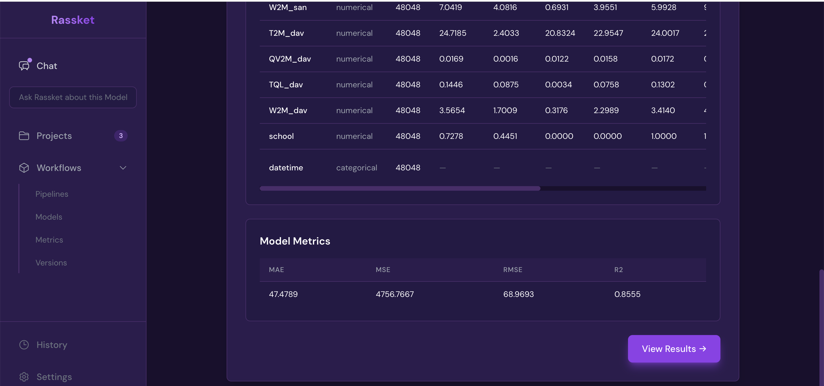 Rassket summary statistics screen showing dataset and model summary at a glance